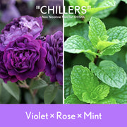 03 Violet × Rose × Mint